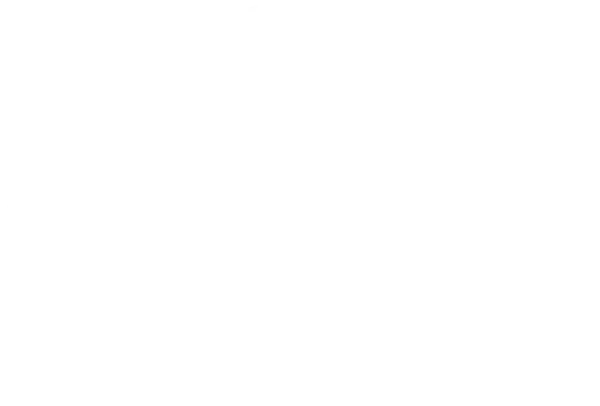 Terabox Video Downloader API